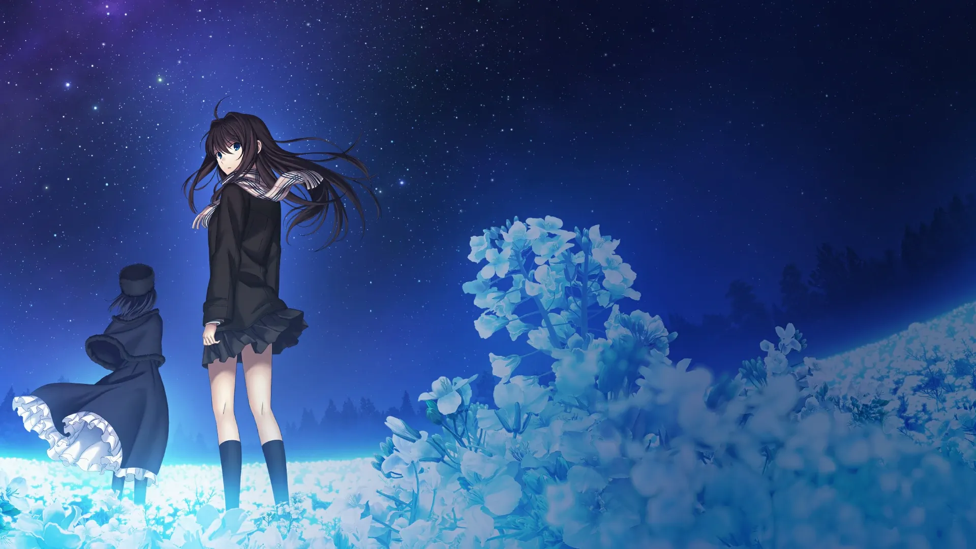 Cover Image for 魔法使之夜:型月宇宙的開端