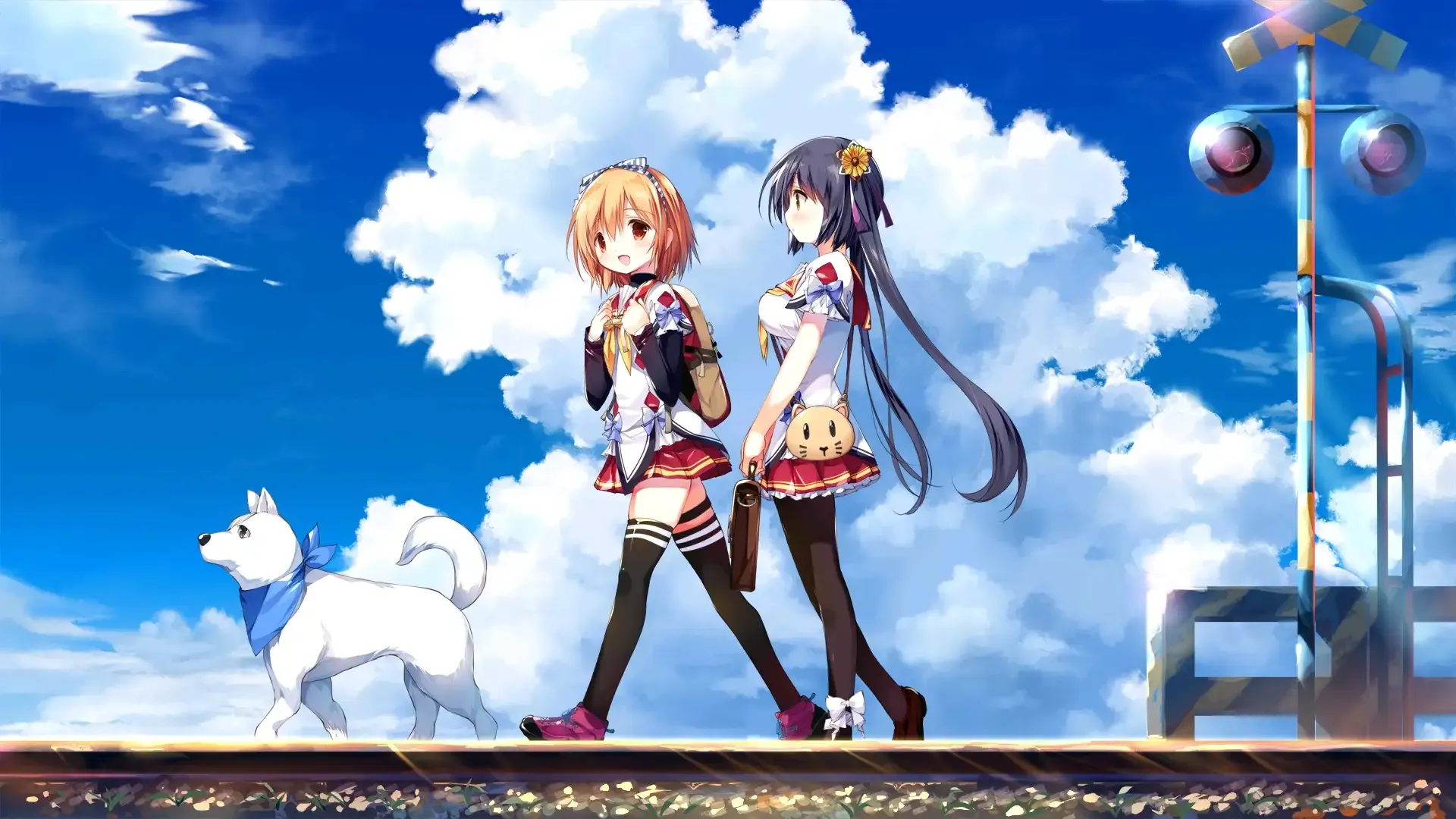 Cover Image for 青空的卡缪